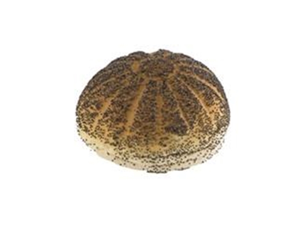 Wit Bolletje Maanzaad&nbsp;per 5